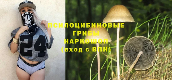 прущий лед Аркадак