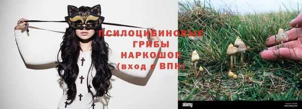 эйфоретик Алзамай